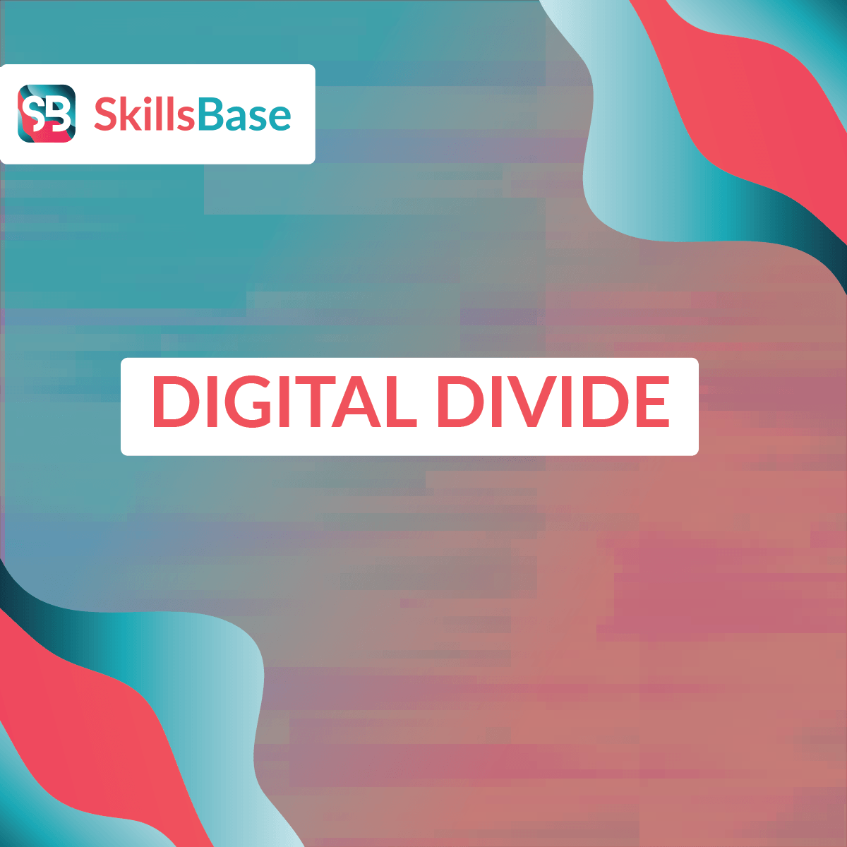 digital divide